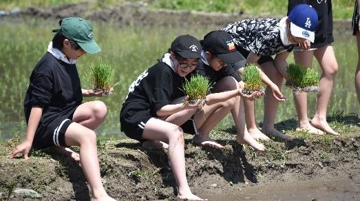 0528 田植え体験学習