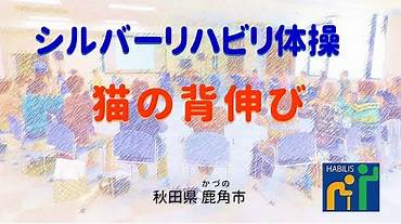 猫の背伸び