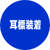 耳標装着