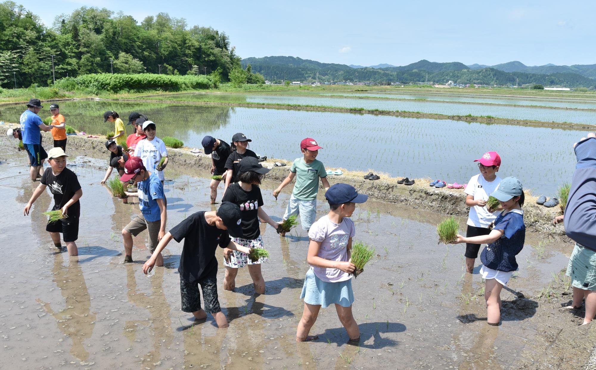 合同田植え体験学習