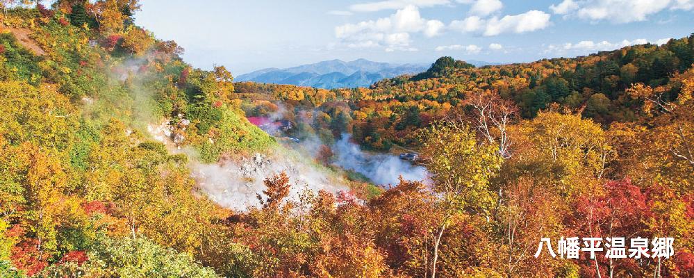 色鮮やかな紅葉が広がる山々の風景 八幡平温泉郷