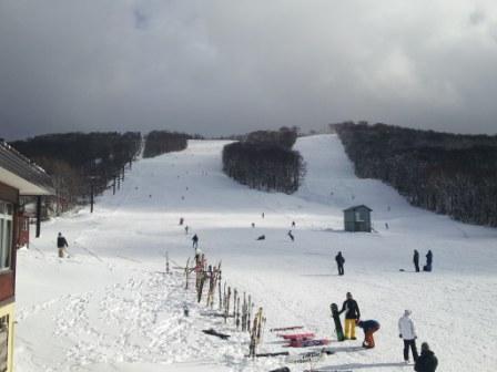たくさんの人がスキーを楽しむ八幡平スキー場の写真