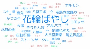 若者アンケートのテキストマイニング
